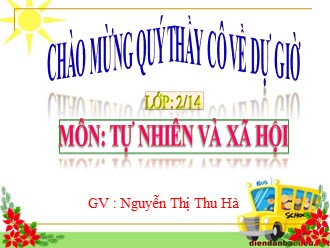 Bài giảng Tự nhiên và Xã hội Lớp 2 - Bài 17: Phòng tránh ngã khi ở trường - Nguyễn Thị Thu Hà