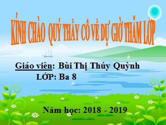 Bài giảng Tập đọc và Kể chuyện Lớp 3 - Tuần 28: Cuộc chạy đua trong rừng - Bùi Thị Thúy Quỳnh