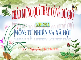 Bài giảng Tự nhiên và Xã hội Lớp 2 - Bài: Ăn uống sạch sẽ - Nguyễn Thị Thu Hà