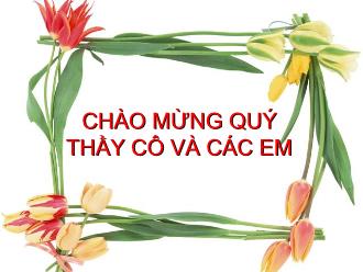 Bài giảng Toán Lớp 6 - Bài 4: Cộng hai số nguyên cùng dấu - Huỳnh Mỹ Phụng