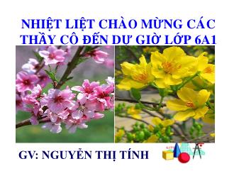 Bài giảng Toán Lớp 6 - Bài: Tính chất của phép nhân - Nguyễn Thị Tính