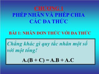 Bài giảng Đại số Lớp 8 - Chương I - Bài 1: Nhân đơn thức với đa thức