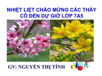 Bài giảng Hình học Lớp 7 - Chương II - Tiết 23: Luyện tập Trường hợp bằng nhau thứ nhất của tam giác Cạnh-cạnh-cạnh (c.c.c) - Nguyễn Thị Tính