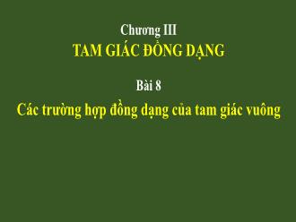 Bài giảng Hình học Lớp 8 - Chương III - Bài 8: Các trường hợp đồng dạng của tam giác vuông