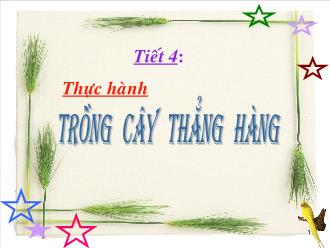 Bài giảng Toán Lớp 6 - Tiết 3: Thực hành Trồng cây thẳng hàng - Tôn Nữ Bích Vân