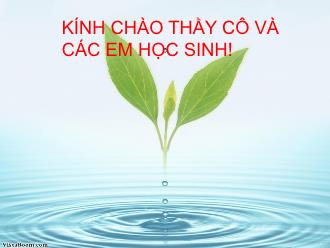 Bài giảng Sinh học 11 - Bài 8: Quang hợp ở thực vật