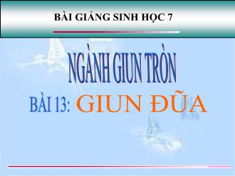 Bài giảng Sinh học 7 - Bài 13: Giun đũa