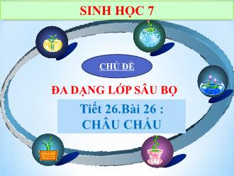 Bài giảng Sinh học 7 - Tiết 26 - Bài 26: Châu chấu