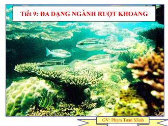Bài giảng Sinh học 7 - Tiết 9: Đa dạng ngành ruột khoang
