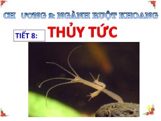 Bài giảng Sinh học 7 - Tiết học 8: Thủy tức