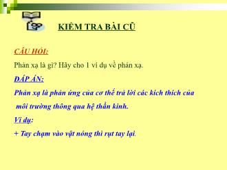 Bài giảng Sinh học 8 - Tiết 7 - Bài 7: Bộ xương