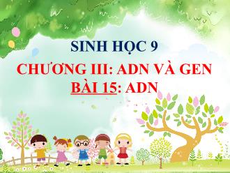 Bài giảng Sinh học 9 - Chương III: ADN và gen - Bài 15: ADN