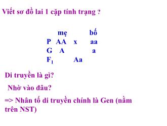 Bài giảng Sinh học 9 - Tiết 11 - Bài 8: nhiễm sắc thể