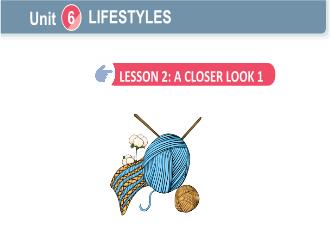 Bài giảng Tiếng Anh 6 - Unit 6: Liifestyles - Lesson 2: A closer look 1