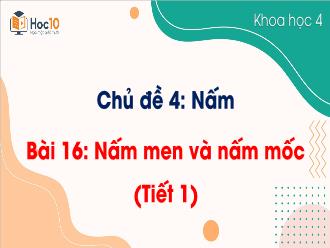 Bài giảng Khoa học 4 - Chủ đề 4: Nấm - Bài 16: Nấm men và nấm mốc