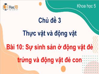 Bài giảng Khoa học 5 - Chủ đề 3: Thực vật và động vật - Bài 10: Sự sinh sản ở động vật đẻ trứng và động vật đẻ con
