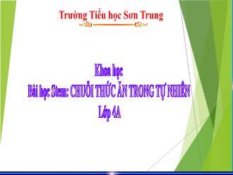 Bài giảng Stem 4 (Khoa học) - Chuỗi thức ăn trong tự nhiên - Trường Tiểu học Sơn Trung