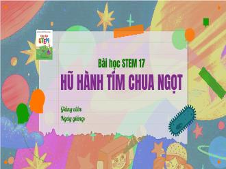 Bài giảng Stem 5 - Bài 17: Hũ hành tím chua ngọt