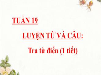 Bài giảng Tiếng Việt 4 (Luyện từ và câu) Sách Cánh diều - Tra từ điển