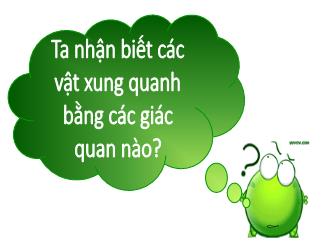 Bài giảng Tự nhiên và Xã hội 4 - Bài 4: Bảo vệ mắt và tai