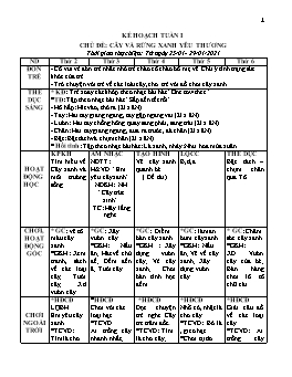 Giáo án Mầm non Lớp Lá - Chủ đề: Cây và rừng xanh yêu thương - Năm học 2020-2021 - Phan Thị Ngọc