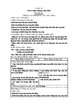 Kế hoạch bài dạy Kĩ thuật 4 - Tuần 21 - Năm học 2021-2022 - Phạm Thị Bích Liễu