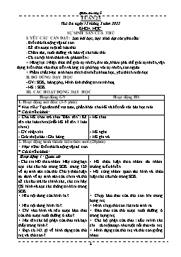 Kế hoạch bài dạy Lớp 5 - Tuần 25-26 - Năm học 2021-2022 - Phạm Thị Bích Liễu