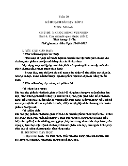 Kế hoạch bài dạy Mĩ thuật 2+3 - Tuần 20 - Năm học 2021-2022 - Trần Thị Kim Lành