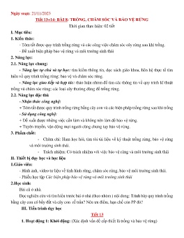 Giáo án Công nghệ 7 (Kết nối tri thức) - Tiết 13+14, Bài 8: Trồng, chăm sóc và bảo vệ rừng - Năm học 2023-2024