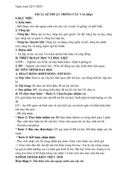 Giáo án Công nghệ 9 - Tiết 12: Kĩ thuật trồng cây vải - Năm học 2023-2024