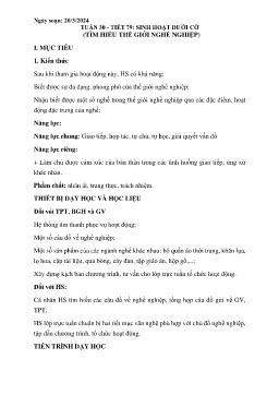 Giáo án Hoạt động trải nghiệm 6 - Tuần 30, Tiết 79: Sinh hoạt dưới cờ Tìm hiểu thế giới nghề nghiệp - Năm học 2023-2024