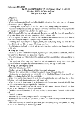 Giáo án Khoa học tự nhiên 8 (Kết nối tri thức) - Bài 37: Hệ thần kinh và các giác quan ở người - Năm học 2023-2024