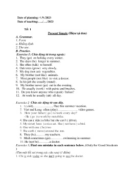 Giáo án Tự chọn Tiếng Anh 9 - Tiết 1: Present Simple (Hiện tại đơn) - Năm học 2023-2024