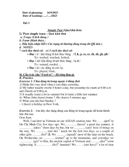 Giáo án Tự chọn Tiếng Anh 9 - Tiết 3: Simple Past (Quá khứ đơn) - Năm học 2023-2024